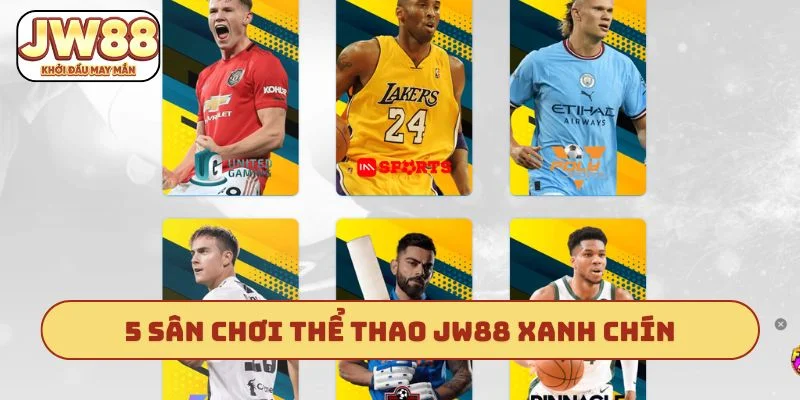 5 sân chơi thể thao JW88 xanh chín